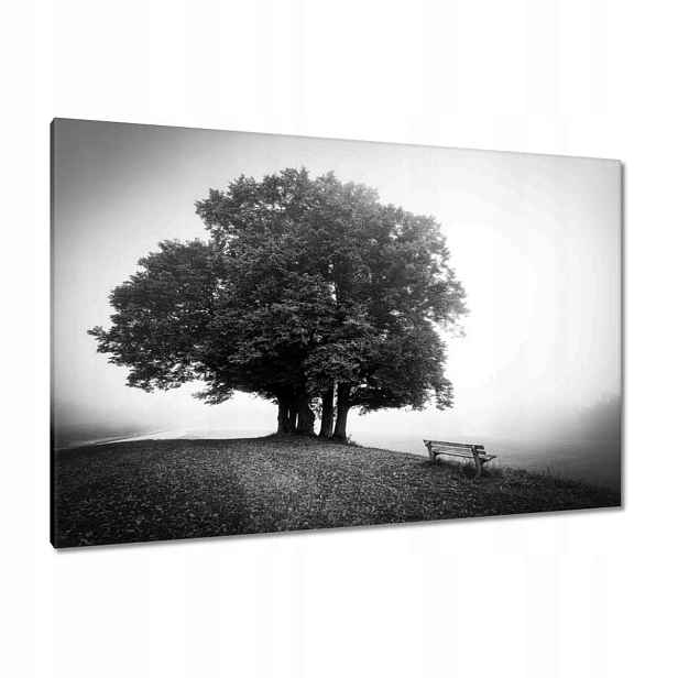 Obrazy 120x80 Krajina v šedé barvě
