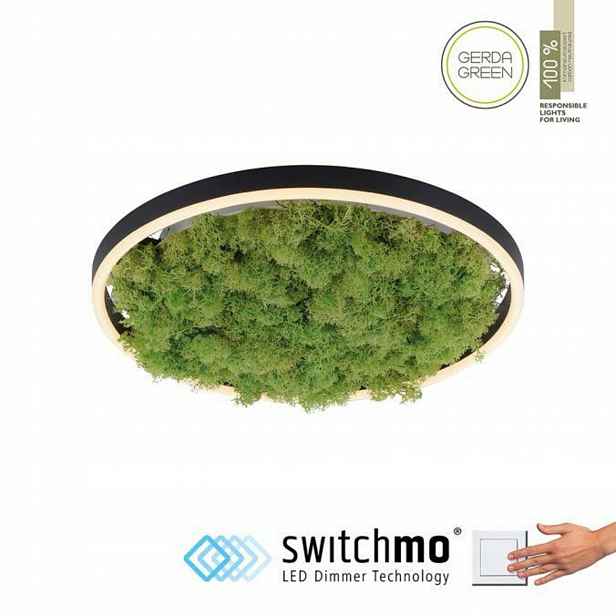 Nástěnné svítidlo Just Light odstíny zelené, vyměnitelný Led modul 20 W