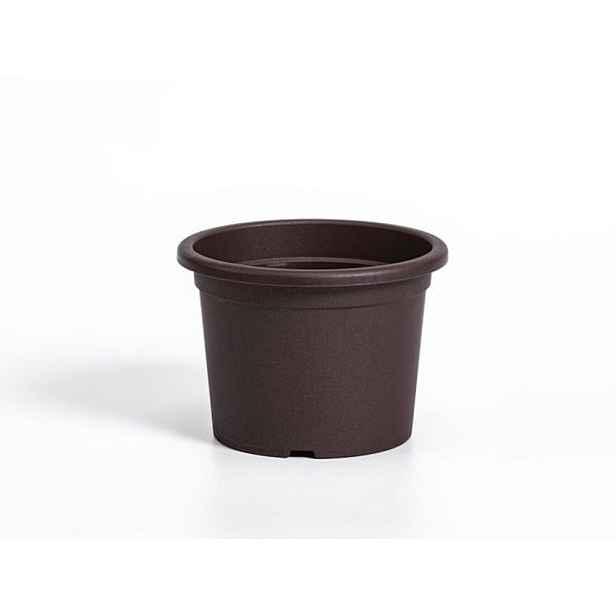 obal d13cm Narcis Čoko