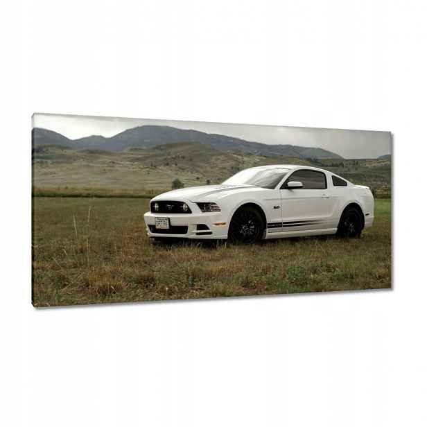 Obrazy 115x55 Bílý Ford Mustang