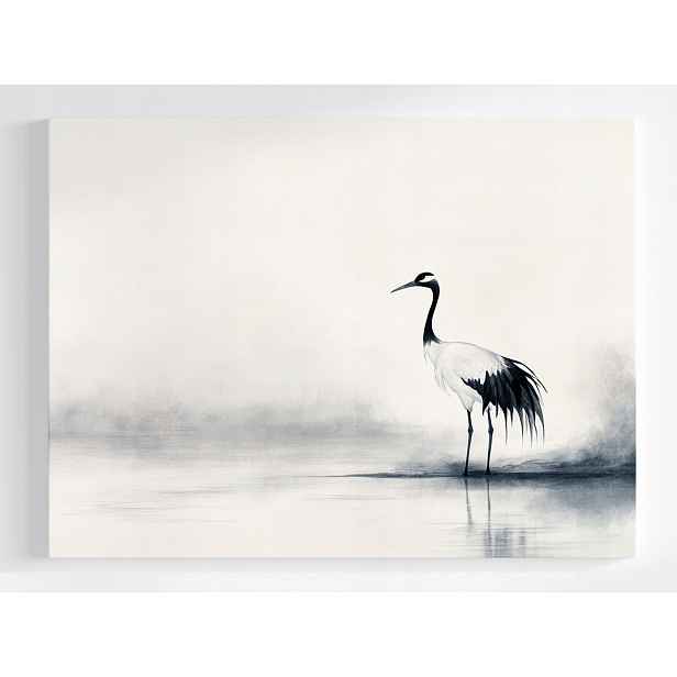 Plakát Grafika B&w Pták Čapla Fauna Natura 100x75
