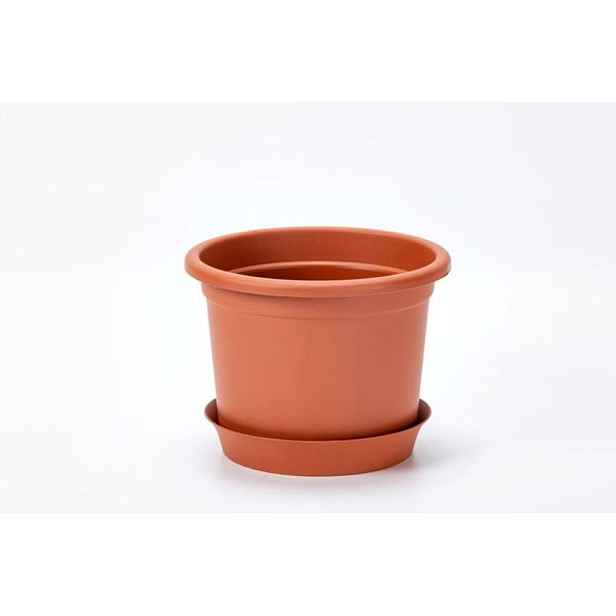 obal d19cm Narcis TER