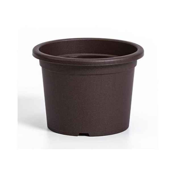 obal d19cm Narcis Čoko