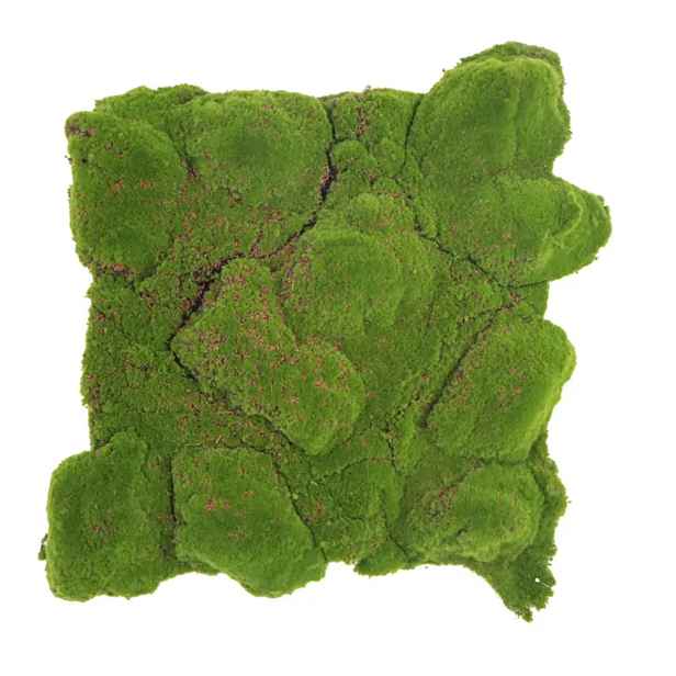 Polštářový mech Premium 50x50 cm – nástěnná dekorace do bytu