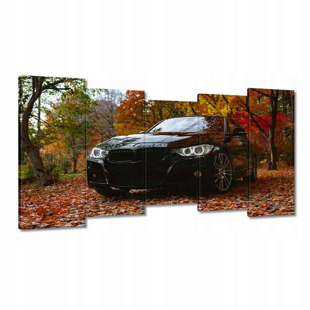 Obrazy 150x80 Černé Bmw Podzim