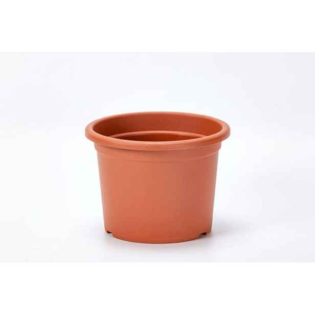 obal d23cm Narcis TER