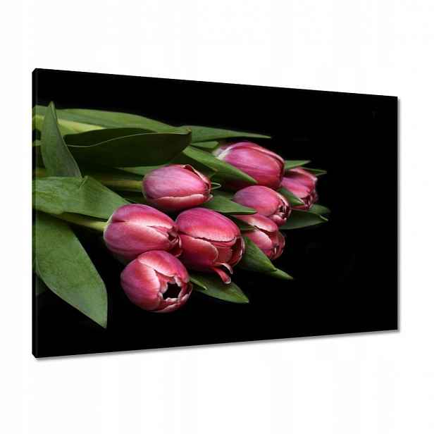 Obrazy 100x70 Šťavnaté tulipány