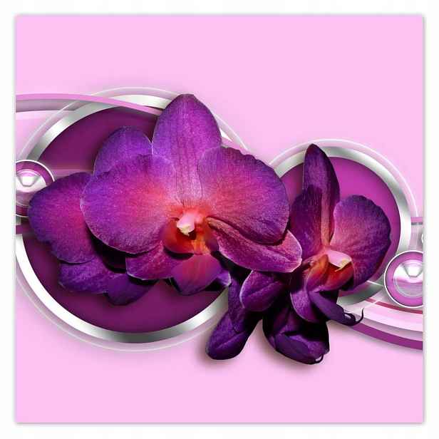 Plakáty 140x140 Fialový orchidej