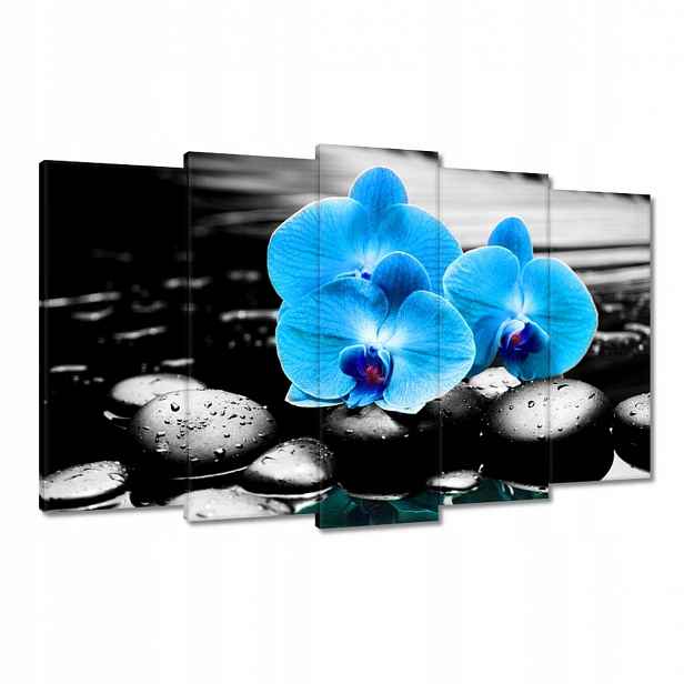 Obrazy 100x60 Tyrkysový orchidej Květina