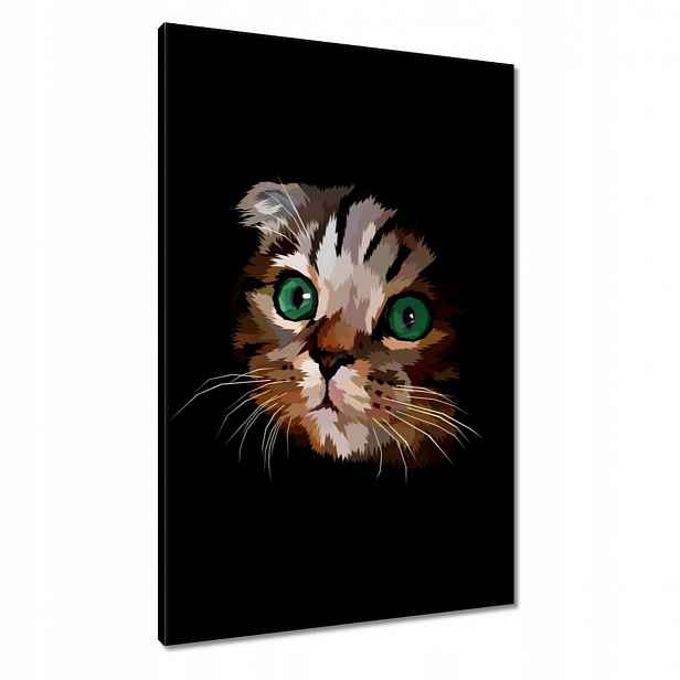 Obrazy 60x90 Kočička Kočky Kicia