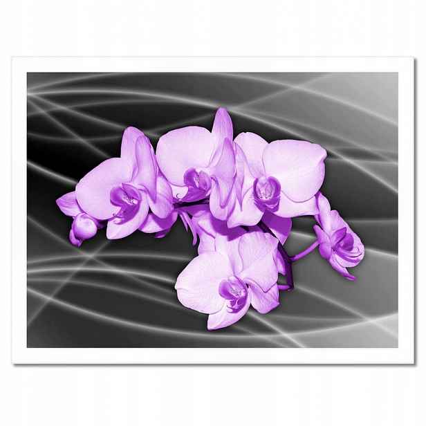Plakáty v rámu 40x30 Pěkný květ orchidej fialový
