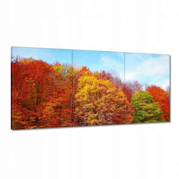 Obrazy 120x60 Podzimní krajina
