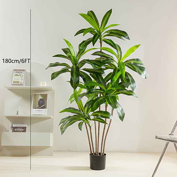 TEMU 1 ks Umělé Dracaena s vertikální výškou 180 cm / 6 stop - Umělý s bílým vysokým květináčem - Umělá tropická v květináči - Umělý z brazilského