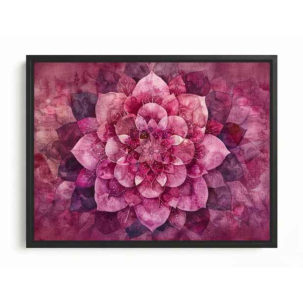 Obraz Rám American Box Růžová Mandala Lotosu Harmonie Vloček 80x60