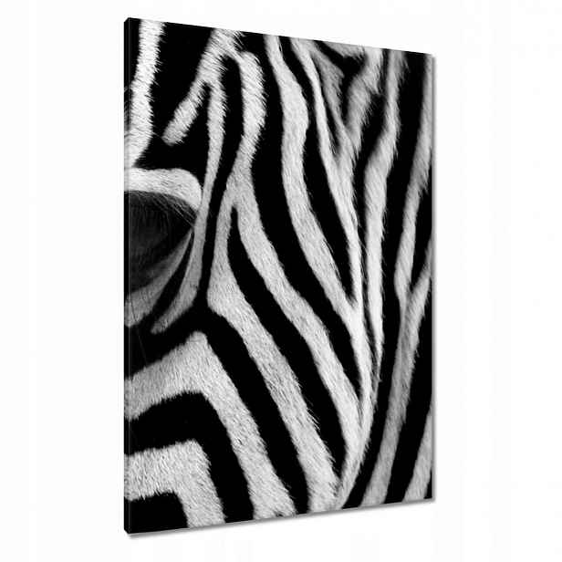 Obrazy 70x100 Černobílé pruhy Zebra