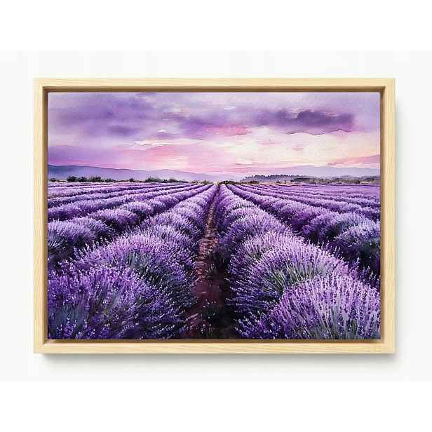 Obraz Rám Americký Box Krajina Pole Plantáž Květiny Levandule Fialová 80x60