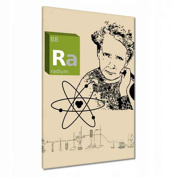 Obrazy 80x120 Maria Skłodowska-Curie