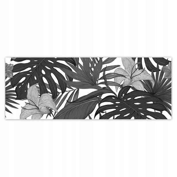 Fototapety 250x93 Černobílá monstera
