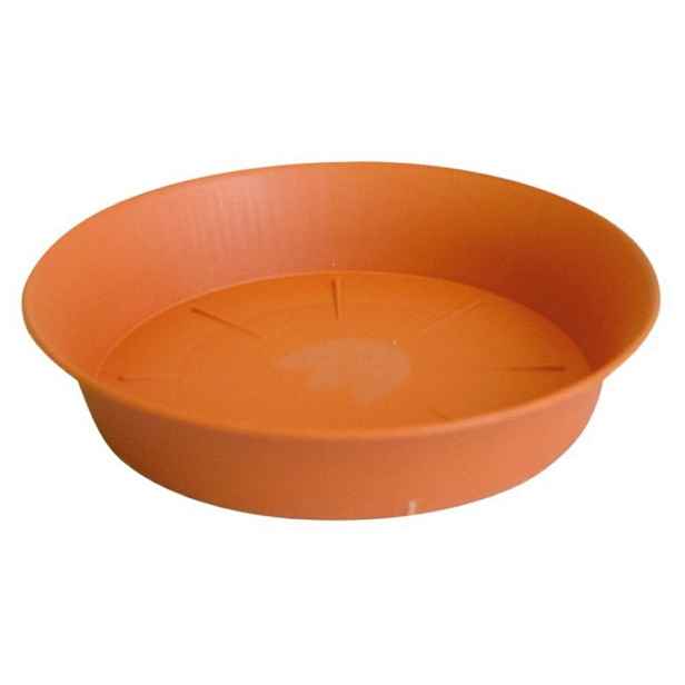 podmiska d14cm TER TULIPÁN
