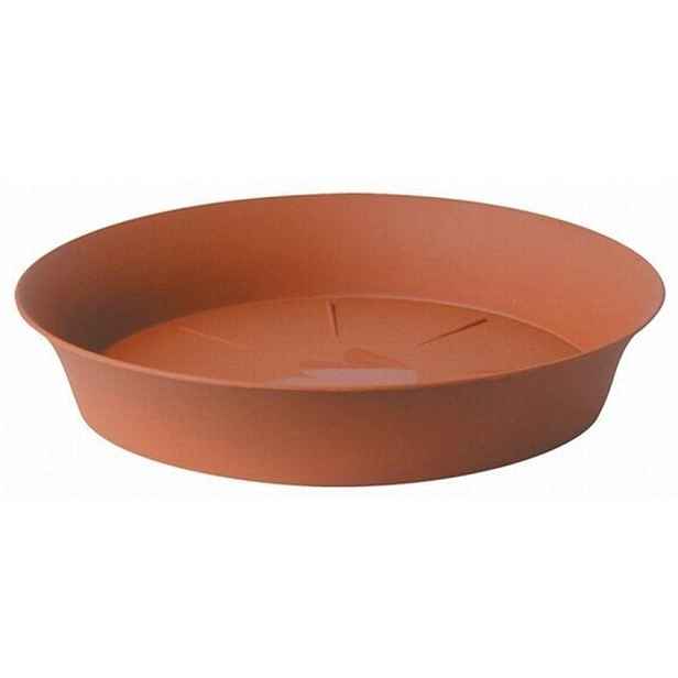 podmiska d16cm TER TULIPÁN