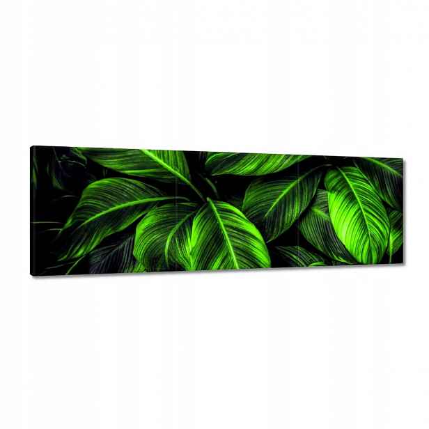 Obrazy 150x50 Zelené listy