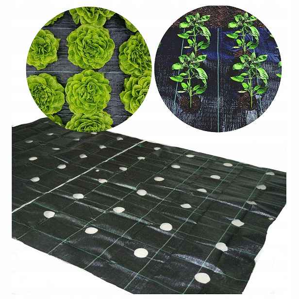 Agrotextilie na plevel s otvory 160 cm x 5 metrů, gramáž 95 g/m2 Silná