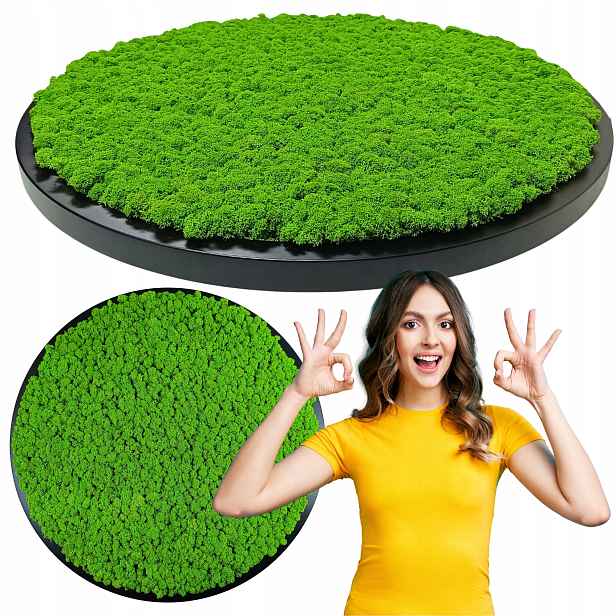 Obraz v dřevěném kulatém černém rámu s Mechem Chrobotkem, průměr 40 cm