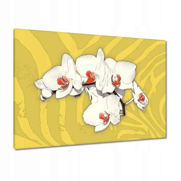 Obrazy 100x70 Orchideje Květiny na žlutém pozadí