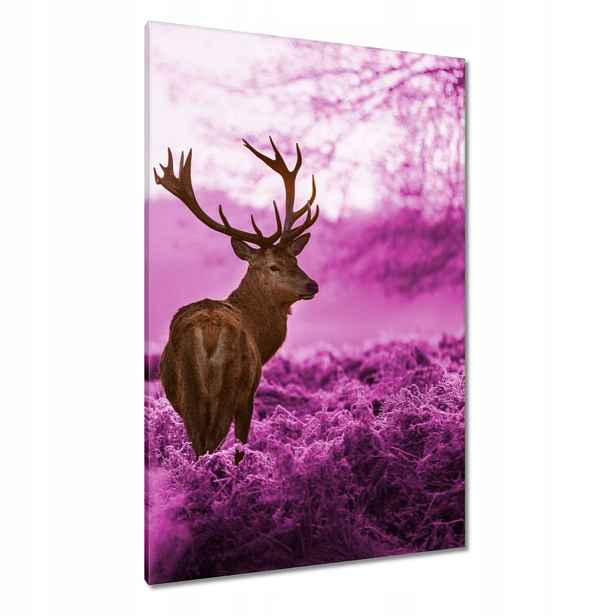 Obrazy 80x120 Jelen ve fialovém lese