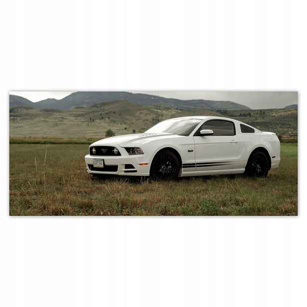 Fototapety flizelina 211x91 Bílá Ford Mustang