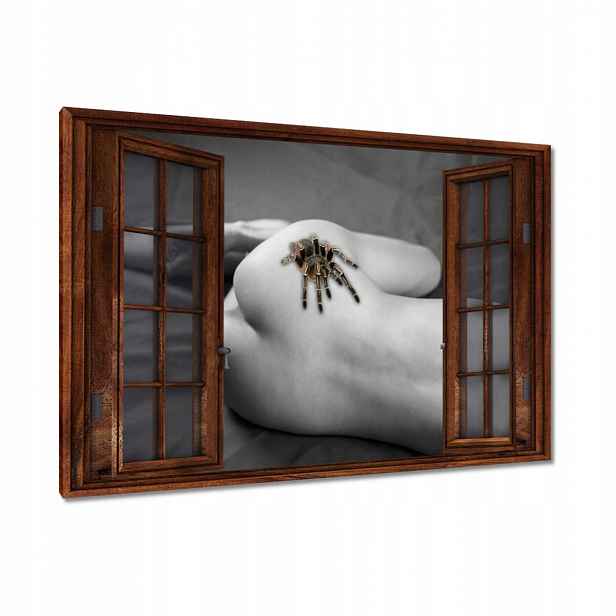Obrazy 120x80 Pavoučí akt Žena