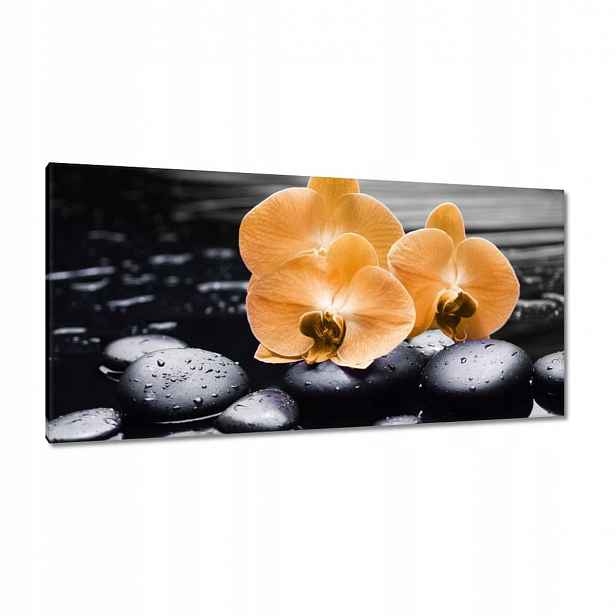 Obrazy 115x55 Oranžové orchideje