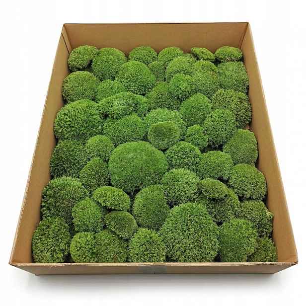 Polštářový mech stabilizovaný 2 kg středně zelený