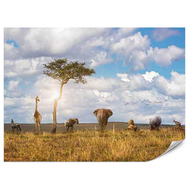 Muralo FOTOTAPETA do Dětského Pokoje Safari Zvířata Slon Žirafa Lev 100x70