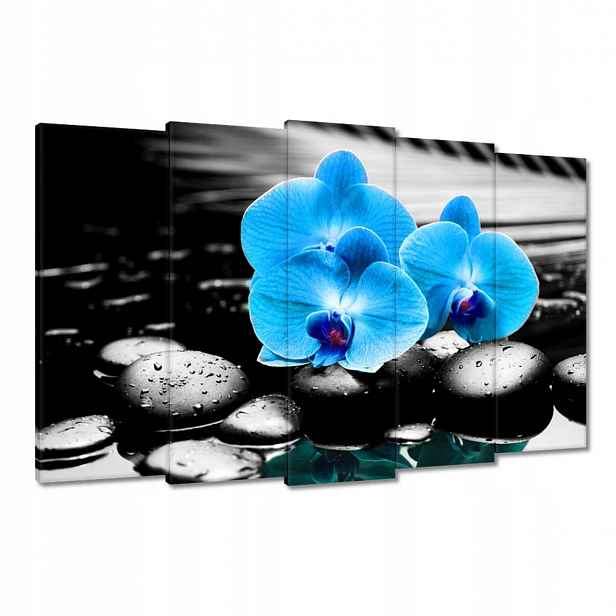 Obrazy 150x95 Tyrkysový orchidej Květina
