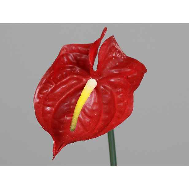 Umělá květina Anthurium 65 cm, červená