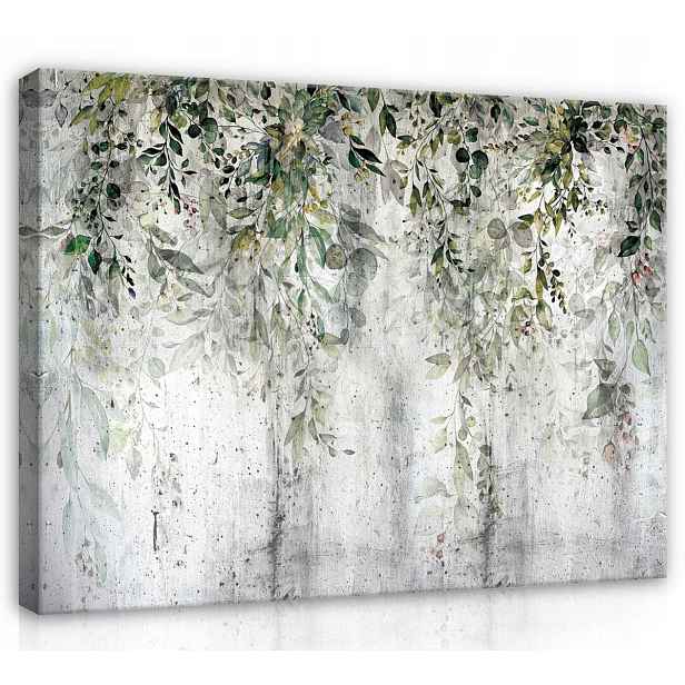 Obraz Na Plátně Canvas 70x50 Listy Popínavé Rostliny Beton Stěna Imitace