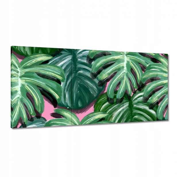 Obrazy 180x90 Monstera Listy