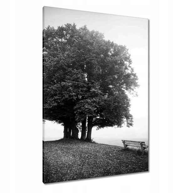 Obrazy 70x100 Krajina v šedé barvě