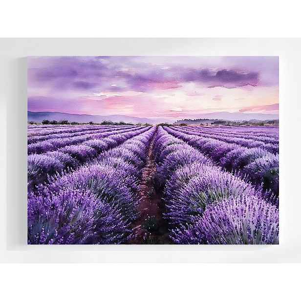 Obraz Na Plátně Canvas Krajina Pole Plantáž Květiny Levandule Fialová 80x60