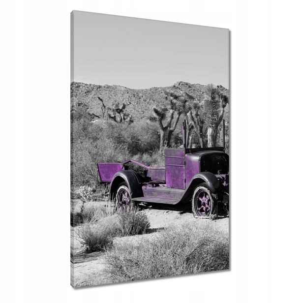 Obrazy 60x90 Fialové ostřelované auto