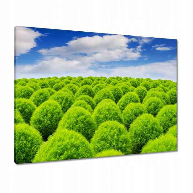 Obrazy 80x60 Zelený pohled Dolina