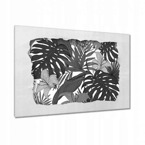Obrazy 120x80 Černobílá monstera