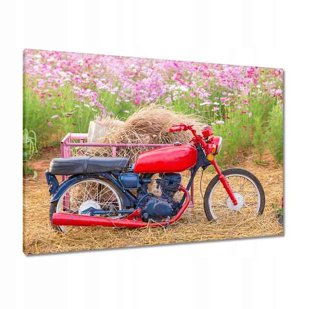 Obrazy 100x70 Červený motocykl Květiny