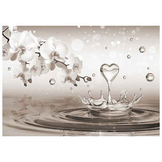 Fototapeta Bílé orchideje kapky jemnost elegance 250x175 lepidlo