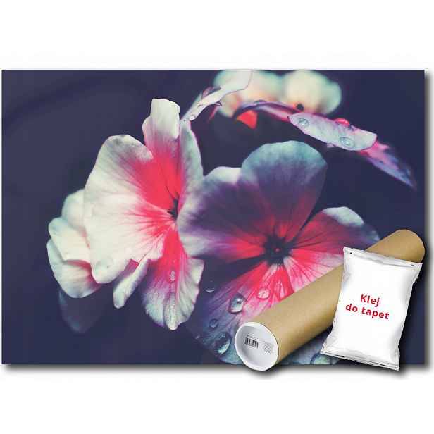 Fototapeta Květiny 9E F3XL 416x254 F12755
