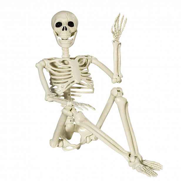 Dekorace Halloween Kostra člověka Kostlivec Pohyblivá Lebka 94 Cm