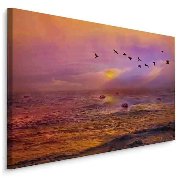 Plátno Ptáci Nad Oceánem Varianta: 90x60