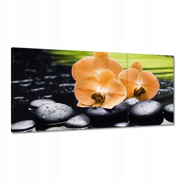 Obrazy 120x60 Oranžové orchideje
