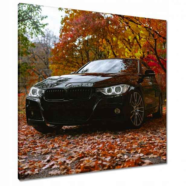 Černé obrazy 80x80 Bmw Podzim